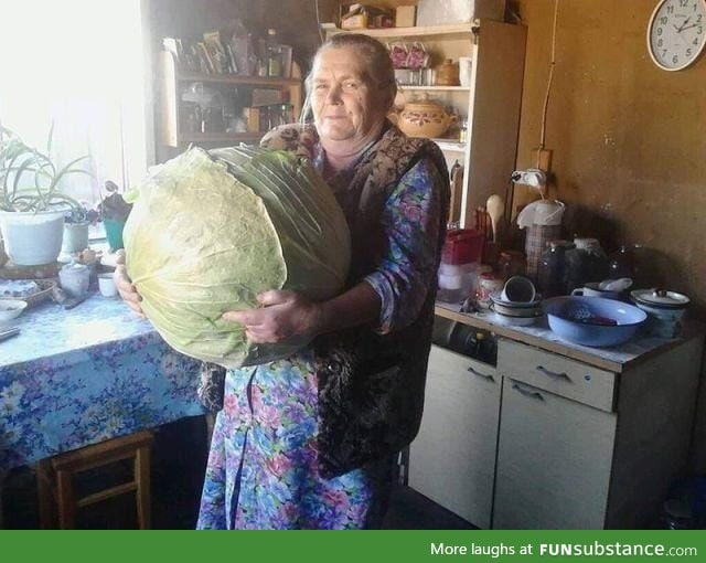 Bolivian woman and her cabbage: The largest one ever