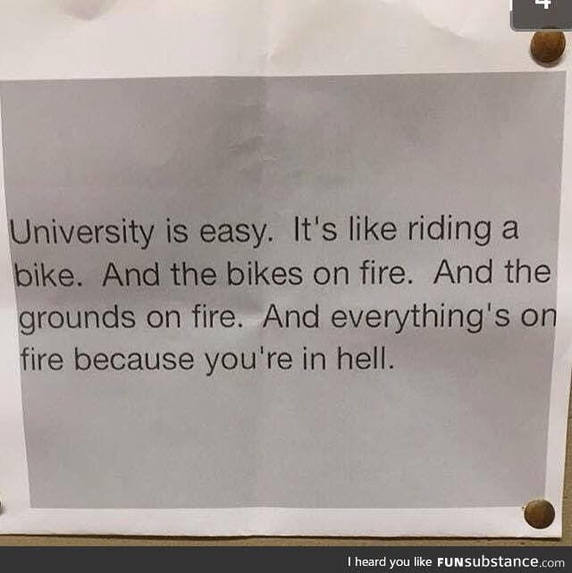 University is a piece of cake right?
