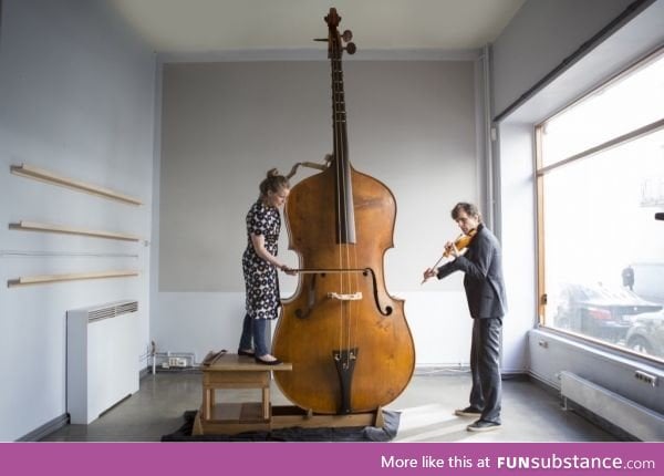 The Octobasse. Capable of playing frequencies lower than humans can hear