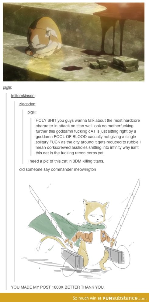 Commander Meowington