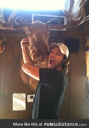 moose and moose