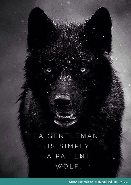 A Man Should Never Call Himself A Gentleman, It Should Be Recognised By Others