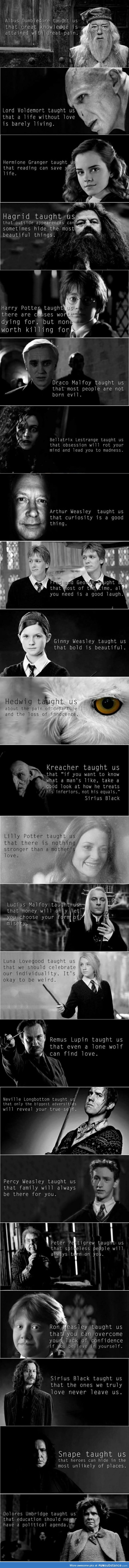 What the Harry Potter books thought us..