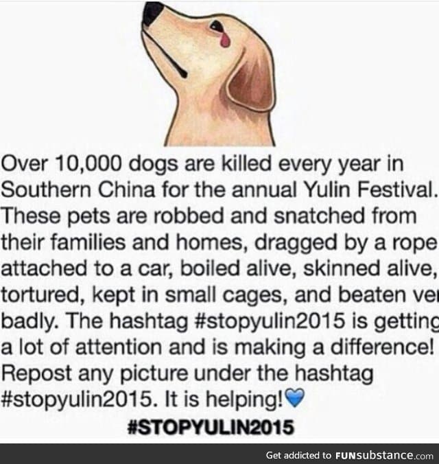 Poor dogs #stopyulin2015 :(