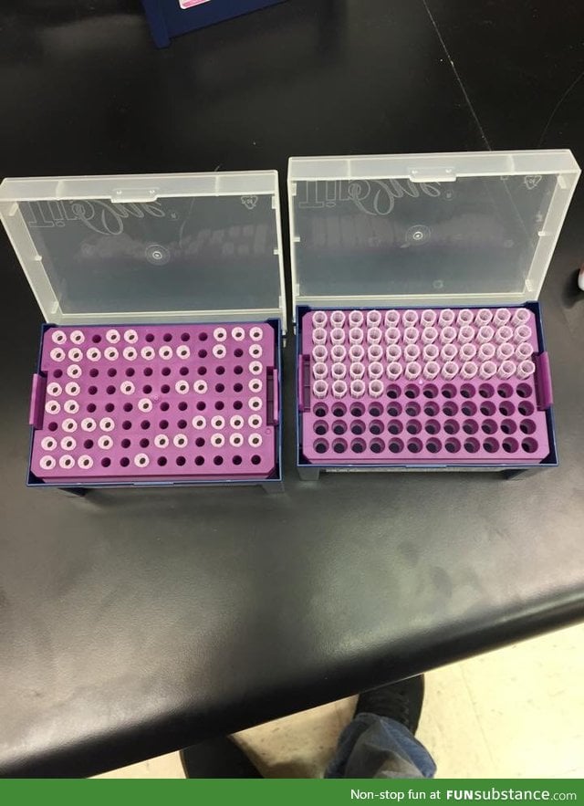 There are two types of scientists in this world