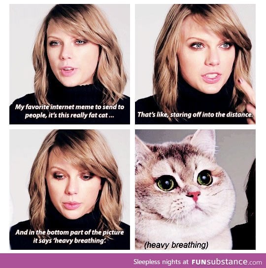 Taylor Swift's favorite meme is the heavy breathing cat