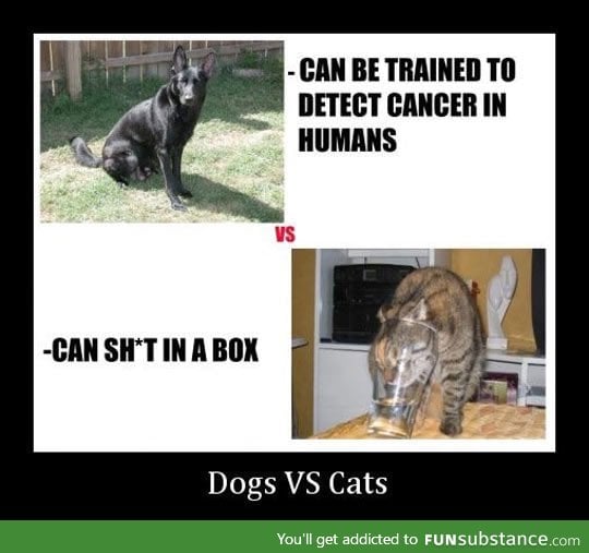 Main difference between dogs and cats