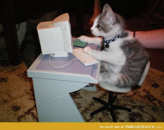 On The Internet, No One Knows You're A Cat...