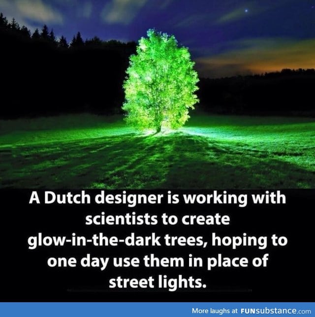 Glow in the dark trees