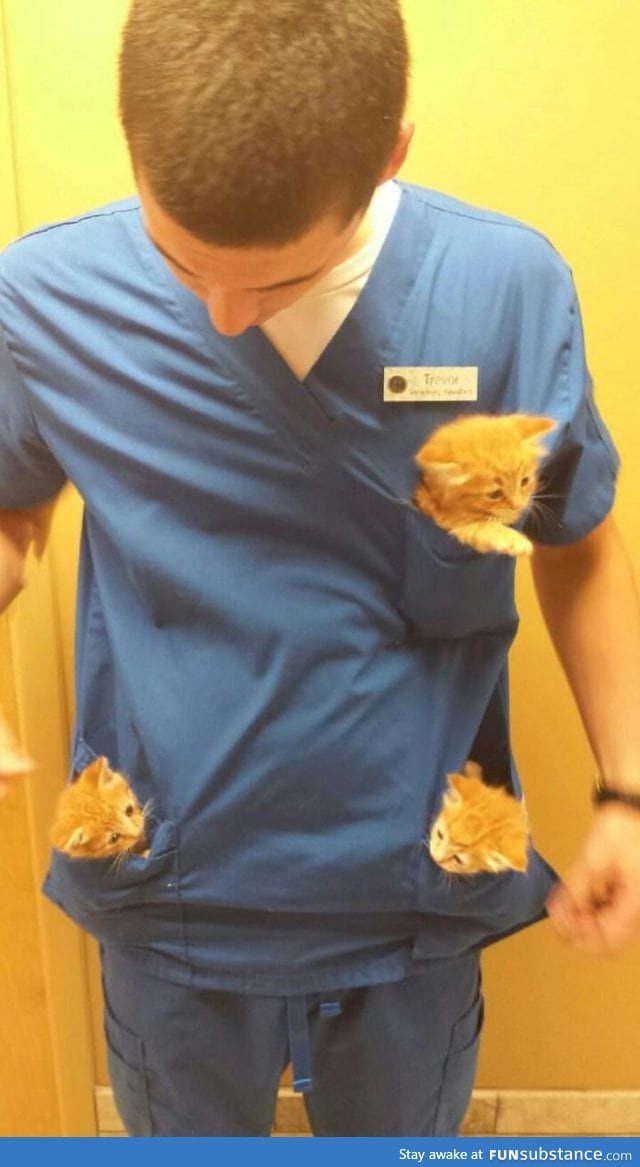 So my friend works at a animal hospital. I need this type of job in my life