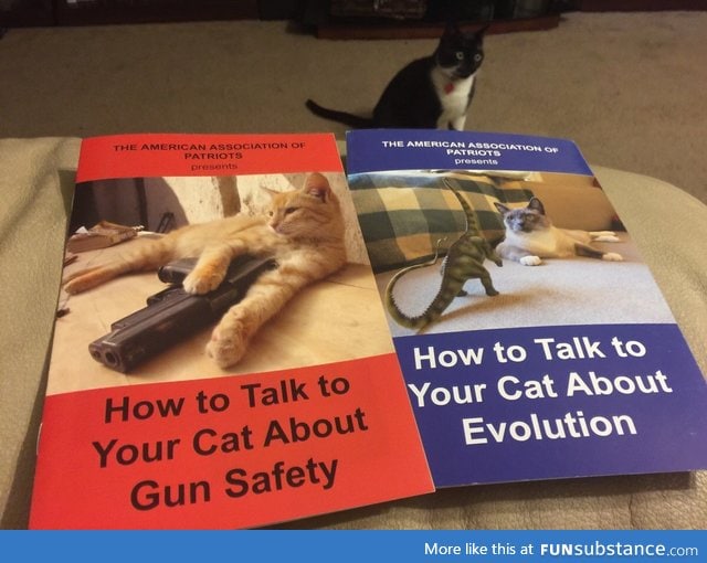 Time to educate my cats!