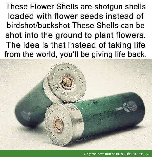 Shut up and plant flowers