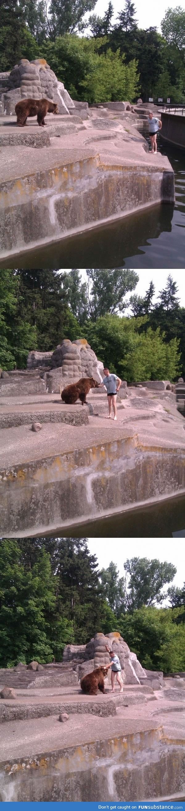 Stoned guy at Warsaw ZOO jumped in to the bear pen to pet the bear