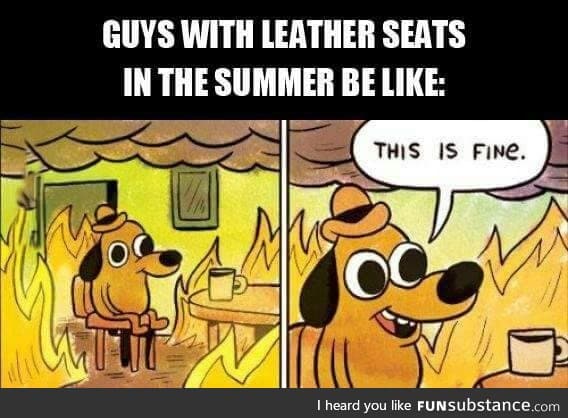The only downside of leather seats