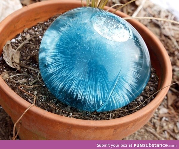 Frozen water balloon and food coloring