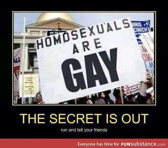 Are you sure homosexuals are gay