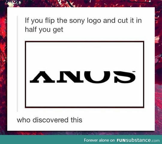 Funny Sony logo fact