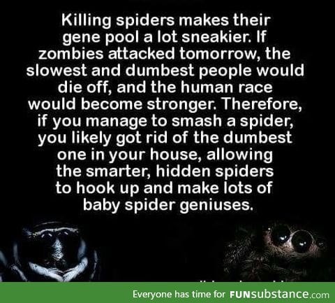 You're only making the spider population smarter