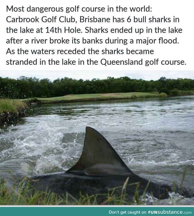 Australia takes Golf to a new level