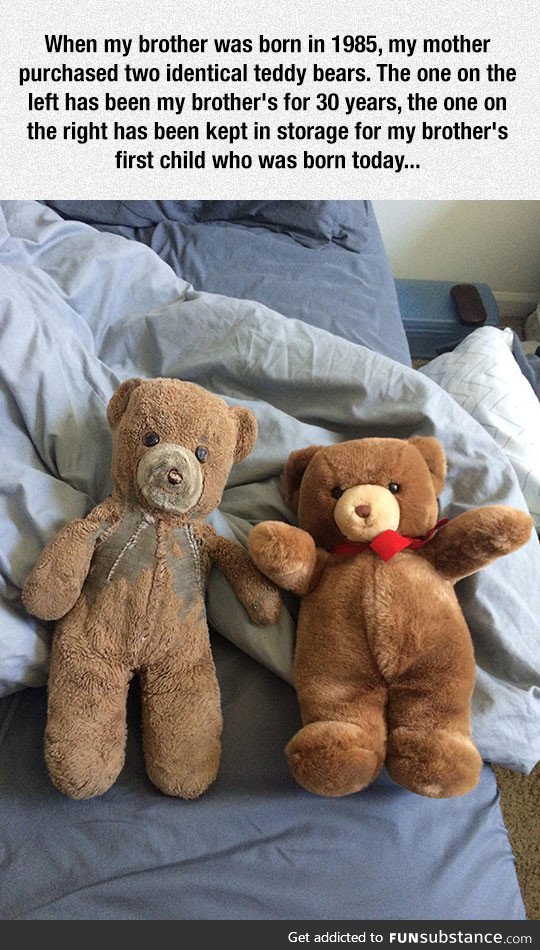 Two teddy bears, 30 years later