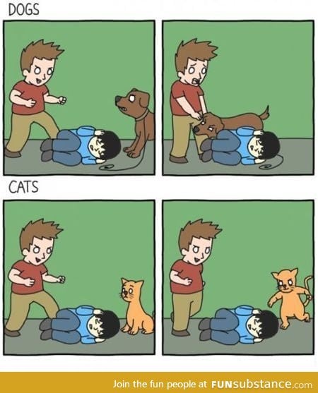 Dogs vs Cats