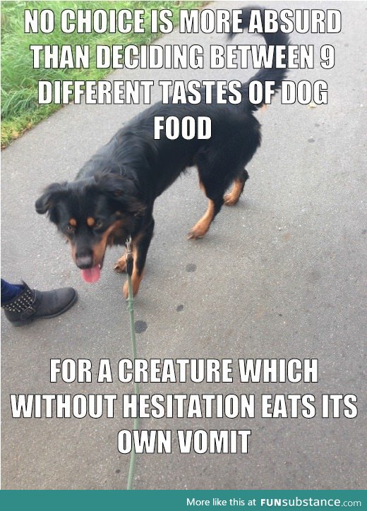 Why buy nice food when dogs eat their own vomit