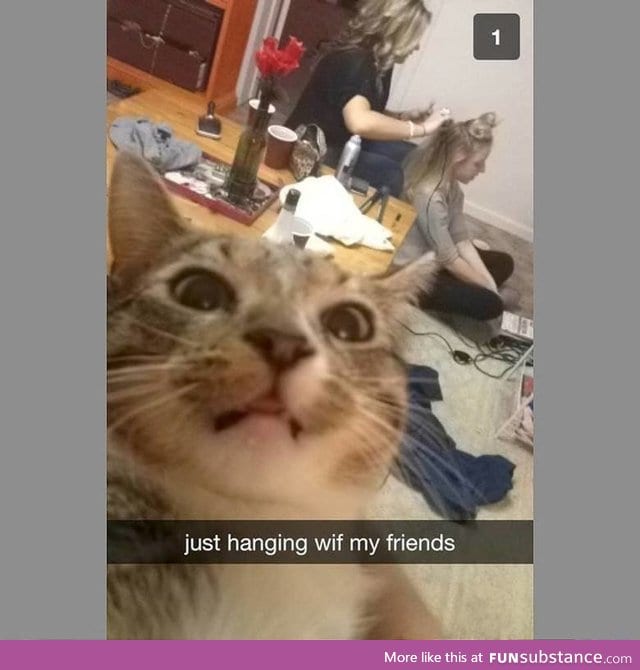 Snapcat