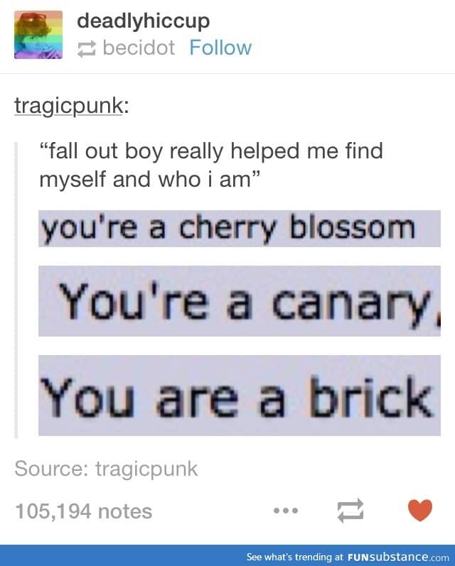 You are a brick