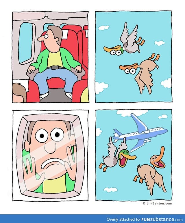 The flight