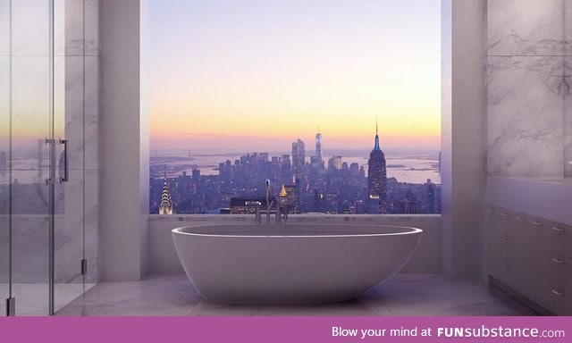 A tub in New York with an amazing view