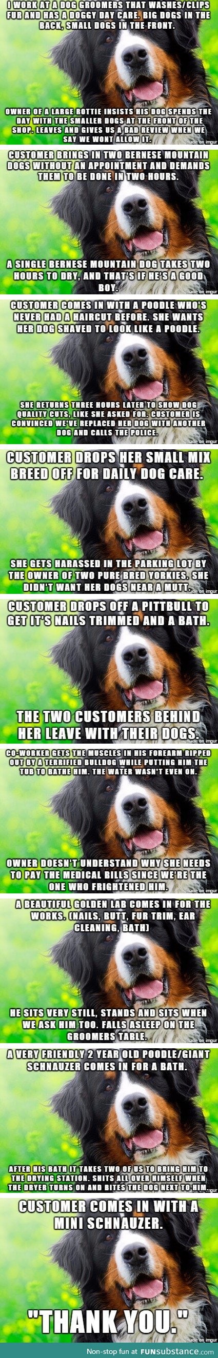 Dog groomer stories