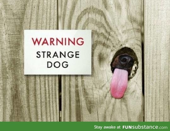 Warning..!! Strange dog