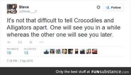 Crocodiles & alligators