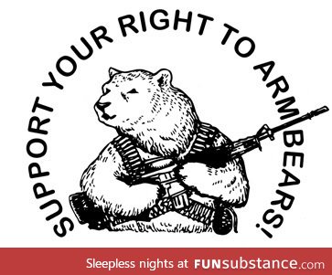 Who cares about the right to bear arms? This is where it's at