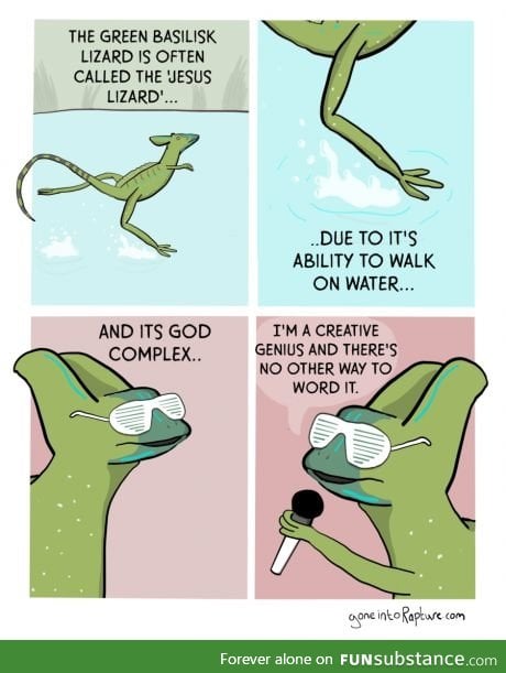 the green basilisk lizard