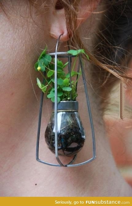 Using a plant as an earing