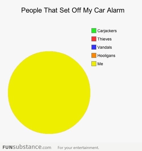 Get a car alarm, they said