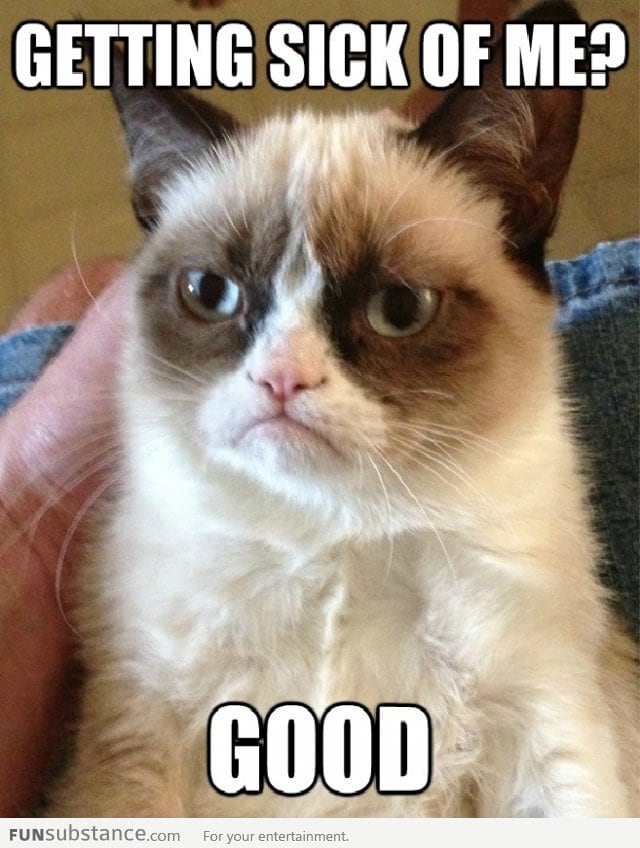 Grumpy Cat doesn't care!