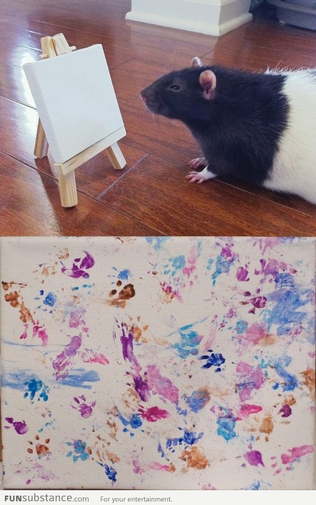 This guinea pig is an artist!