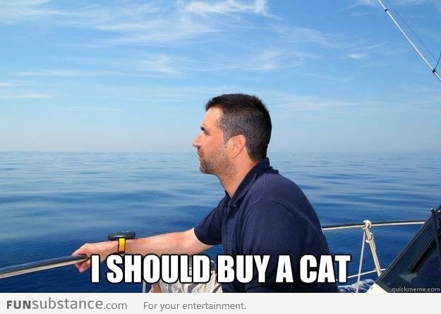 Pondering Boat Owner