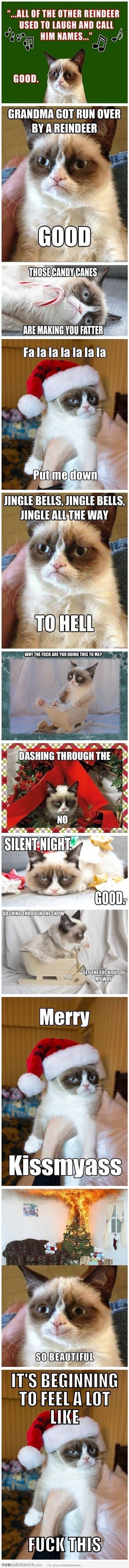 Merry Christmas From Grumpy Cat