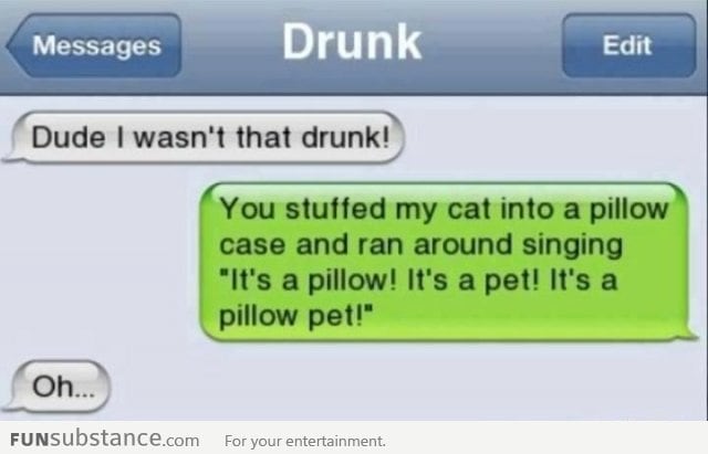 A Pillow Pet