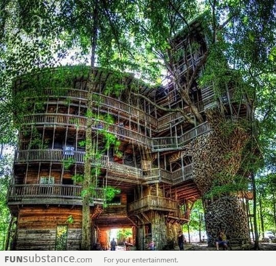 Tree House In Tennessee