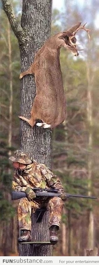 Hunting, you're doing it wrong
