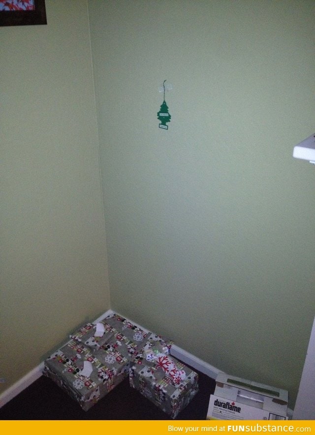 When you're too poor for a Christmas Tree