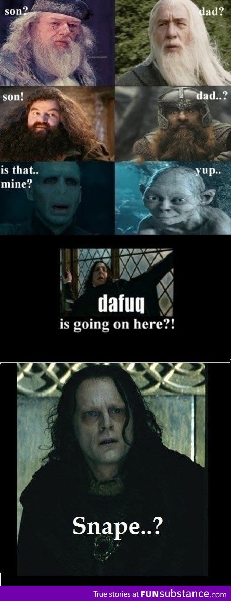 Harry potter meets lord of the rings