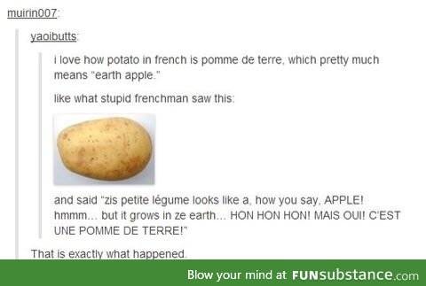 The origin of the potato