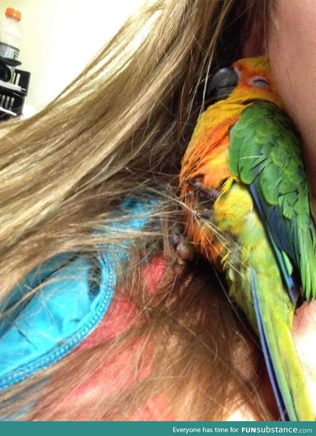 A bird fell asleep in her hair