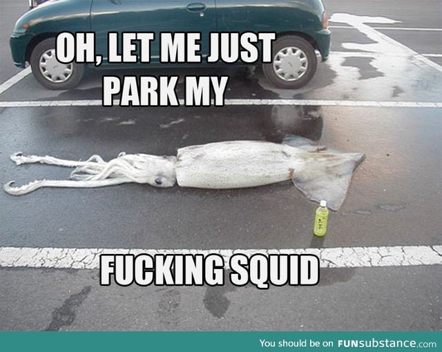 Parking squids these days