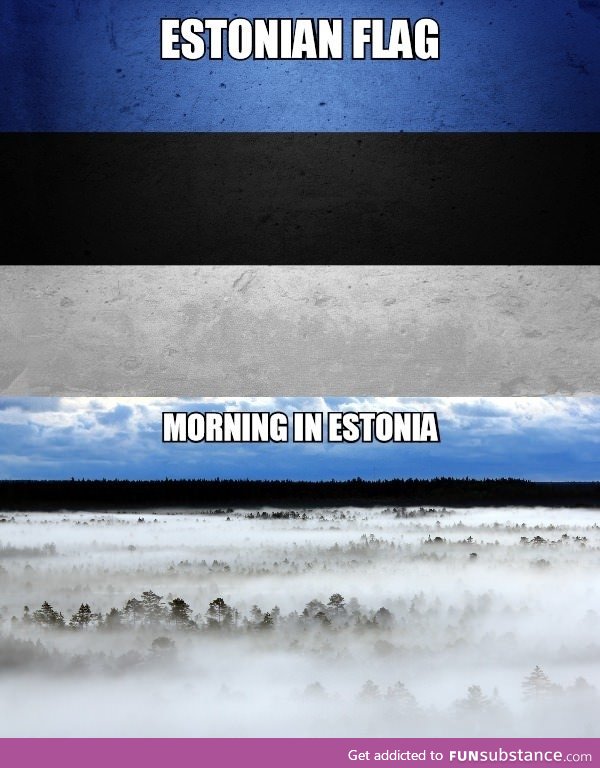 How the Estonian flag came about